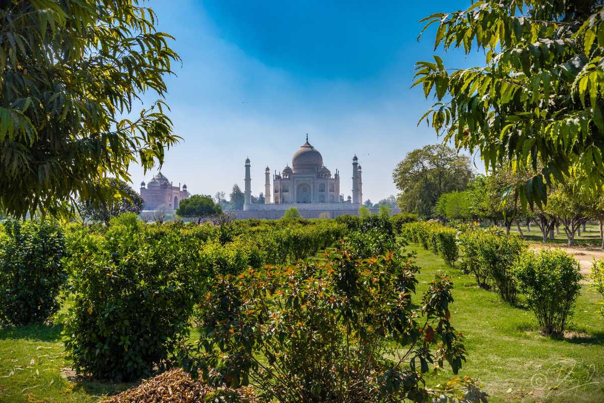 Visit Mehtab Bagh