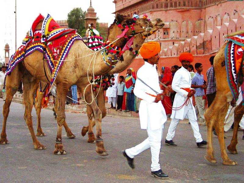 Visit Taj Mahotsav