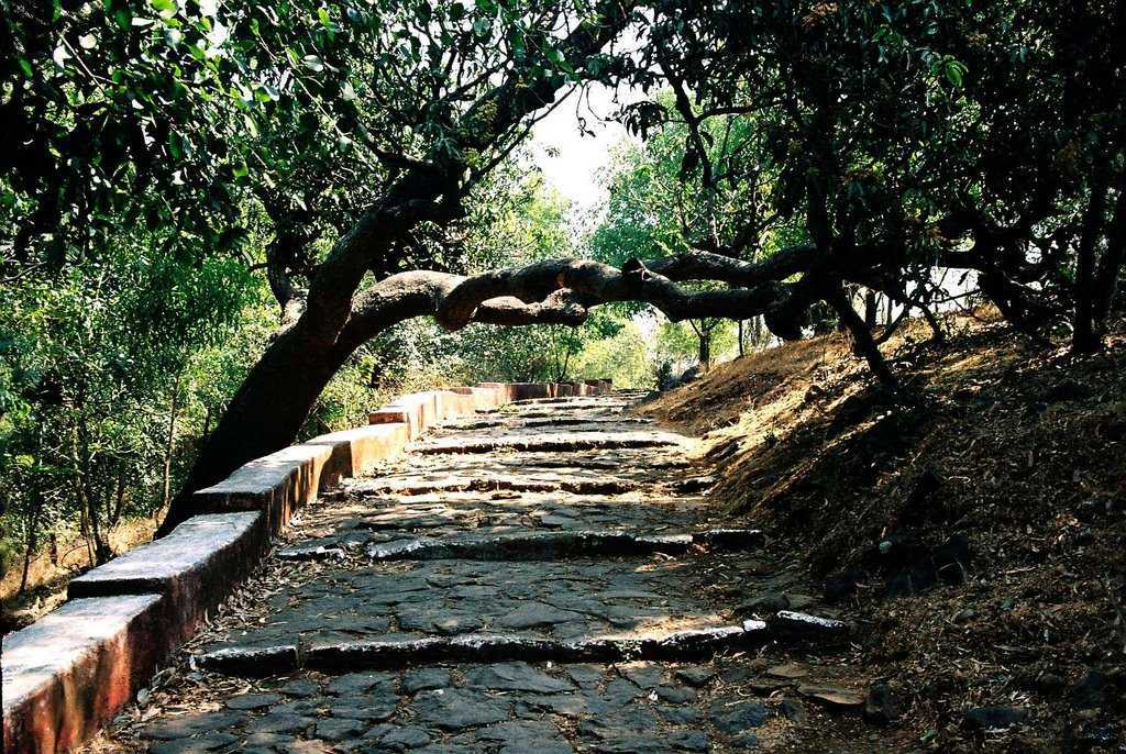 Visit Kanakeshwar forest