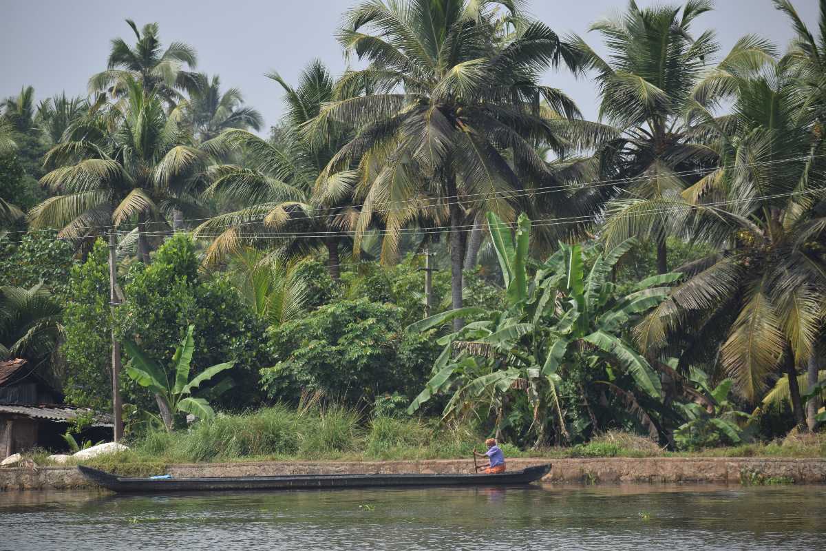 Attraction in Alleppey - SyncTrip