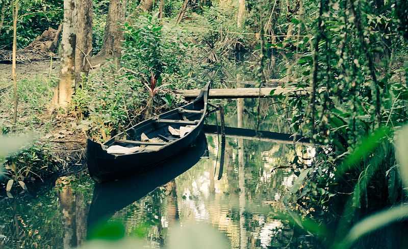 Visit Kumarakom Bird Sanctuary