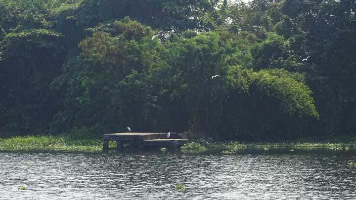 Visit Pathiramanal