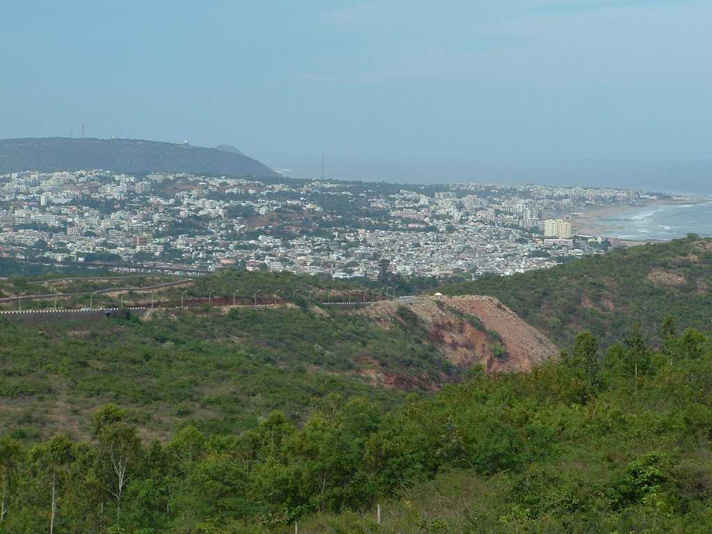 Visit Dolphins Nose