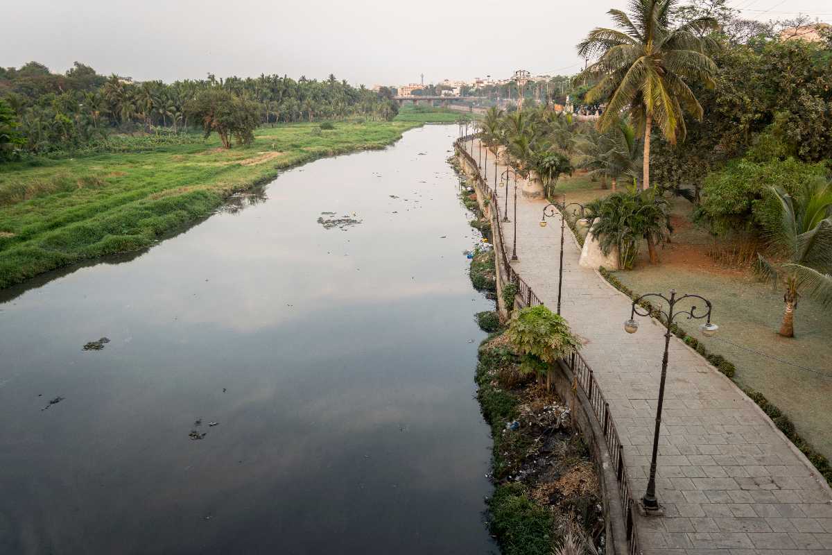 Visit Musi River