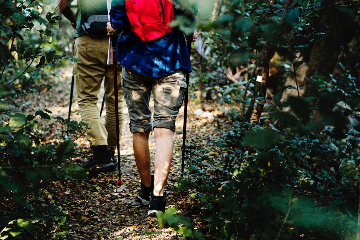 Visit Trekking in Ananthagiri Hills