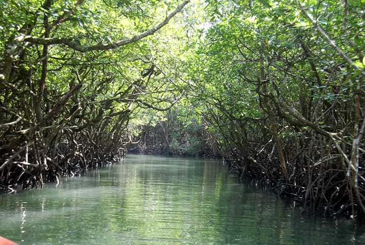 Visit Baratang Island