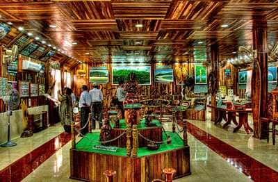 Visit Forest Museum