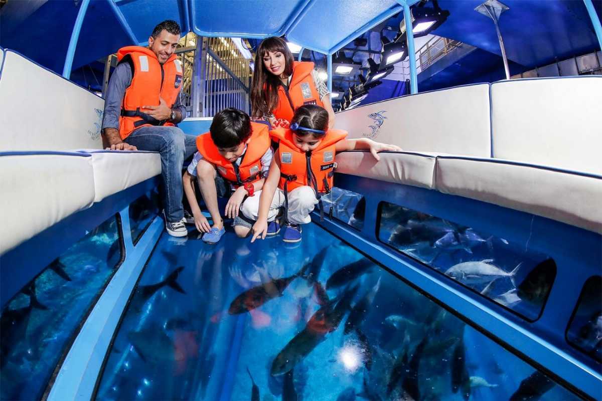 Visit Glass Bottom Dolphin Boat