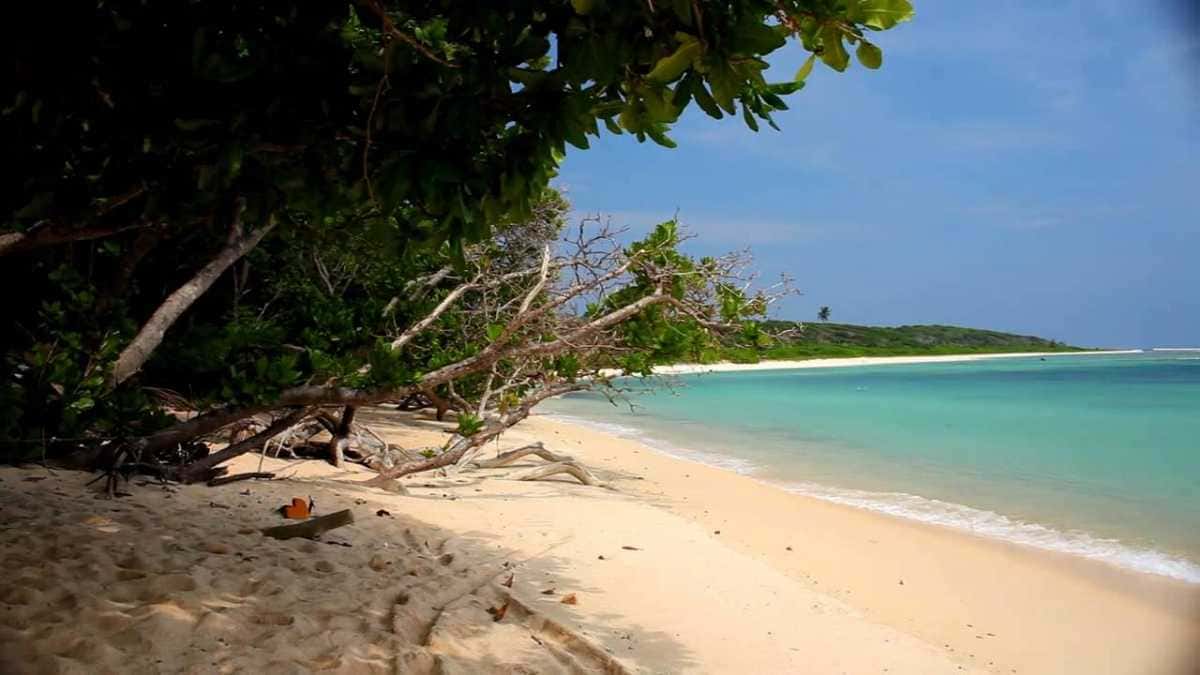 Visit Little Andaman