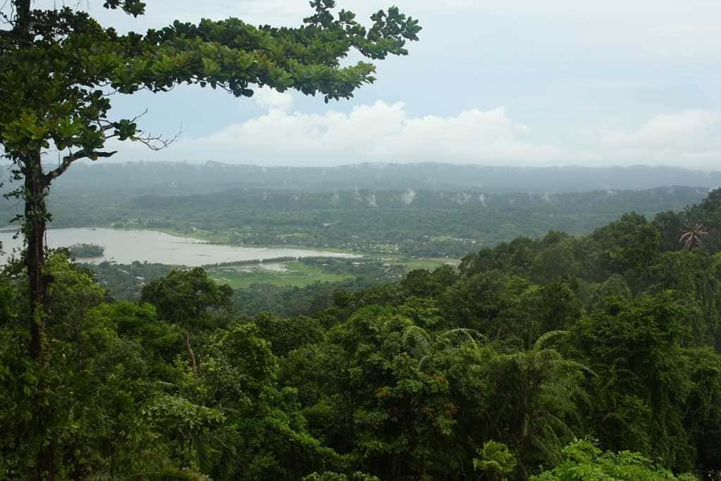 Visit Mount Manipur National Park (Mount Harriet National Park)