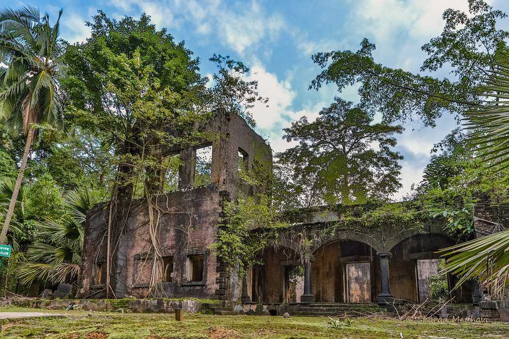 Visit Ross Island