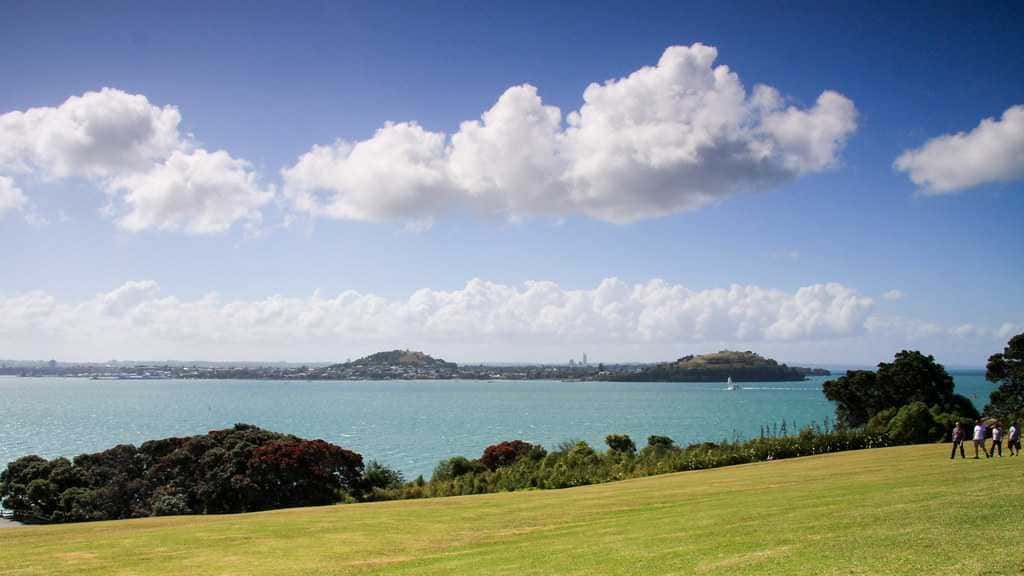 Bastion Point best Package Trip