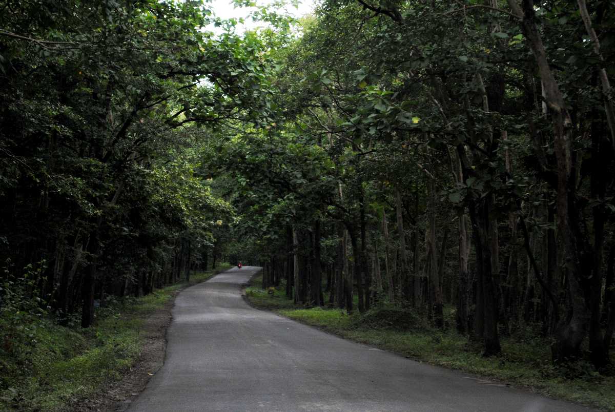 Visit Anshi National Park
