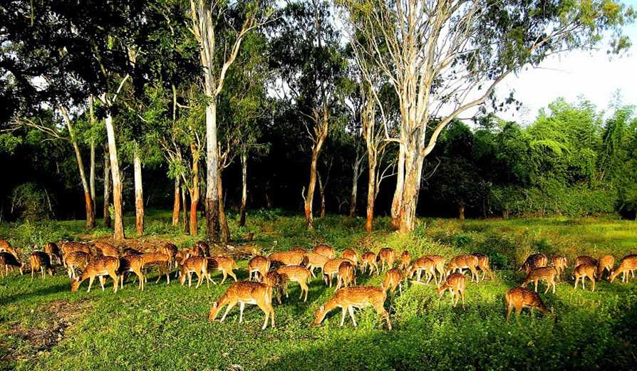Visit Kali Tiger Reserve