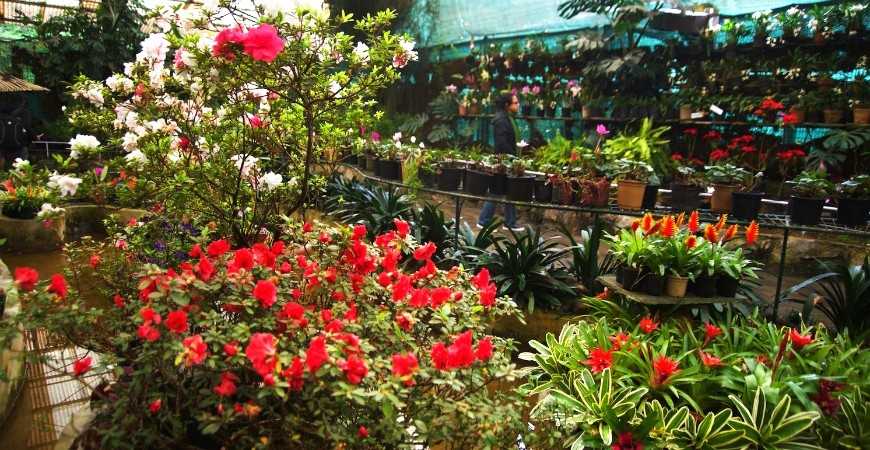 Visit Flower Exhibition Centre