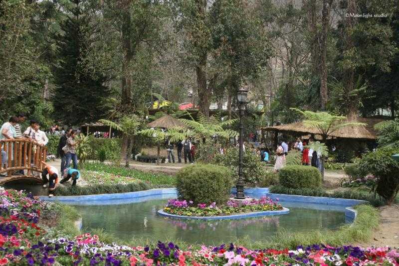 Visit Saramsa Garden