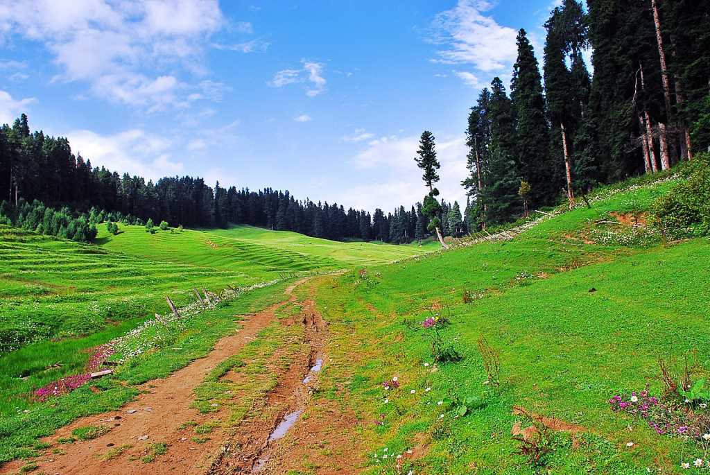 Visit Strawberry Valley