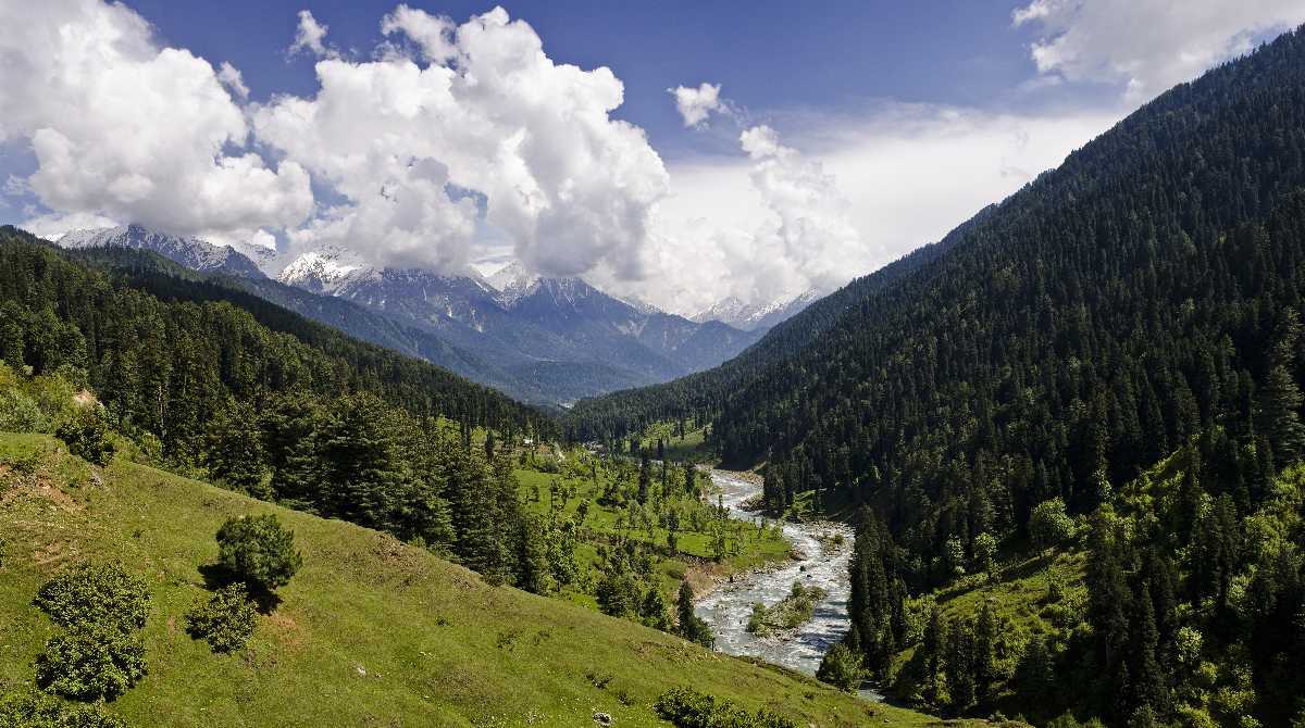 Attraction in Kashmir - SyncTrip