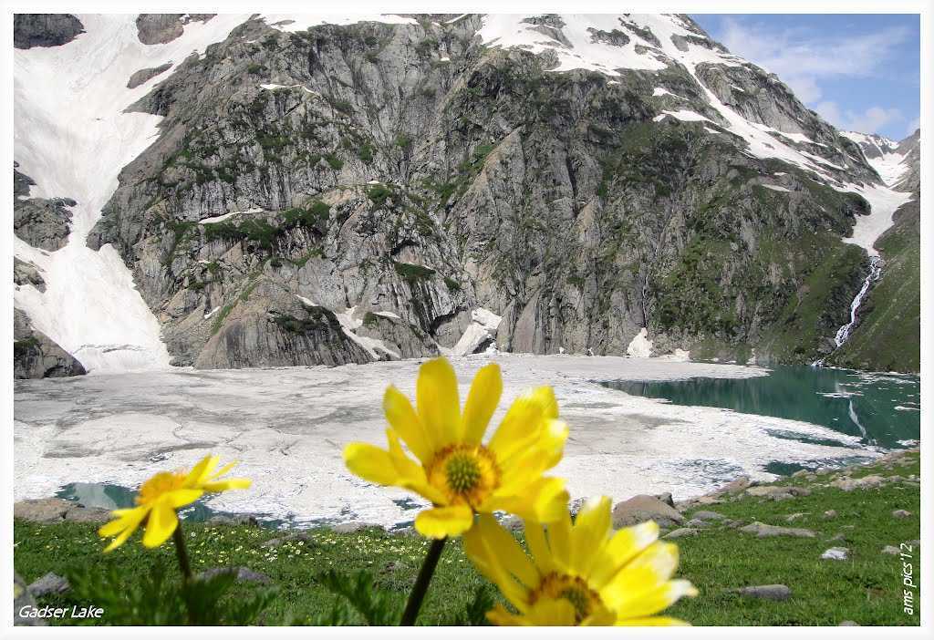 Visit Kashmir Great Lakes Trek