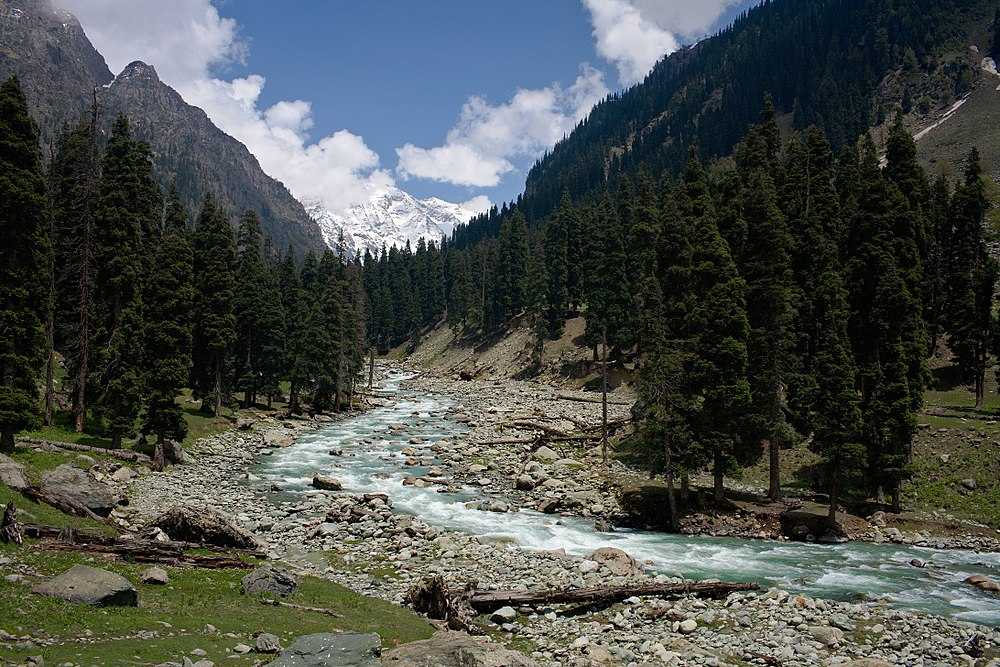 Visit Lidder River