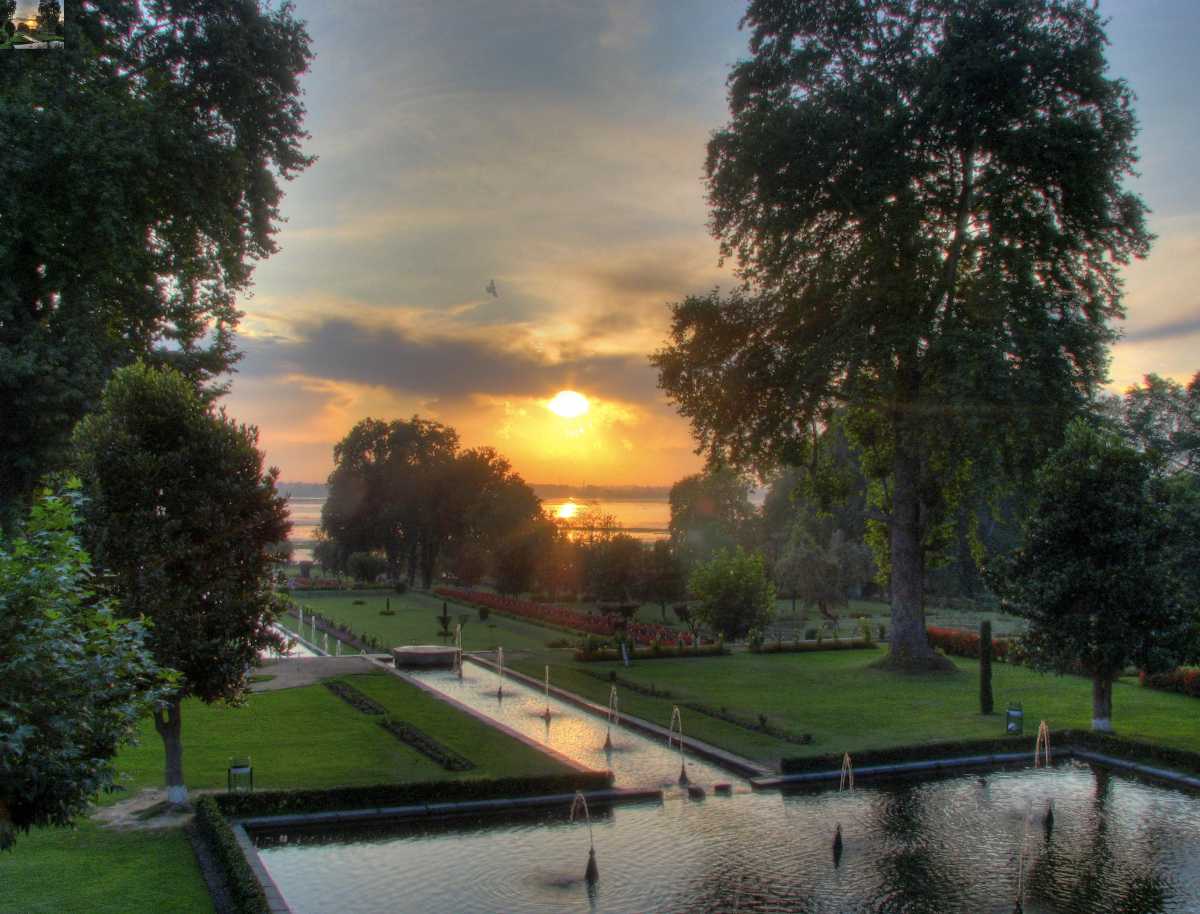 Visit Mughal Gardens, Srinagar