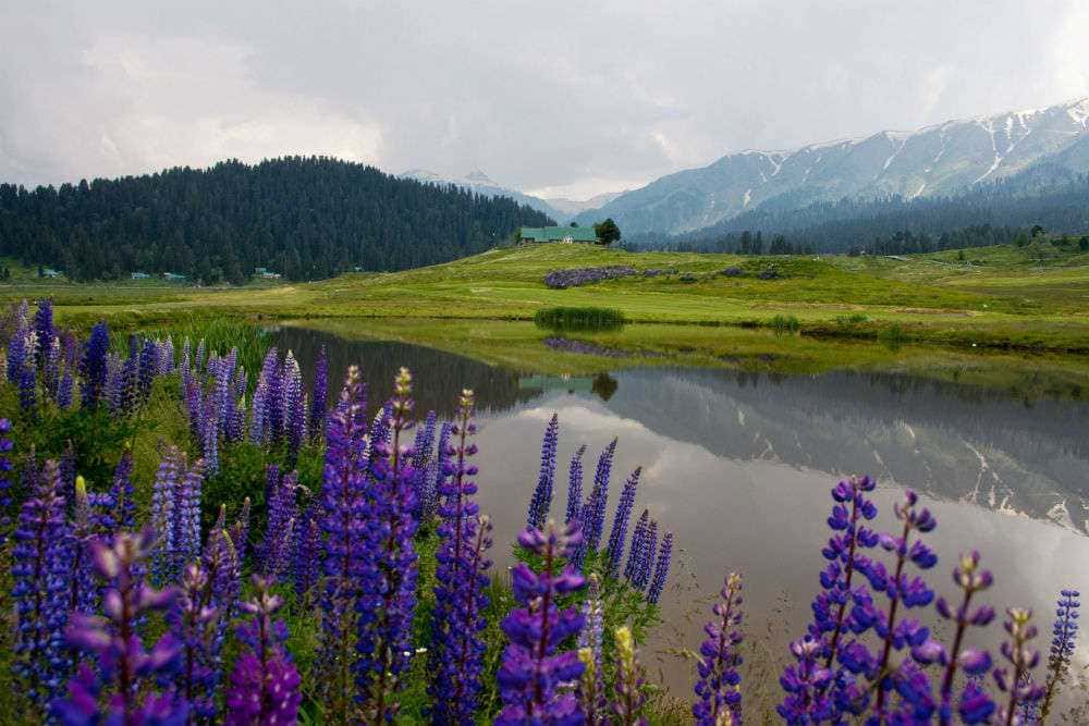 Visit Outer Circle Walk Gulmarg