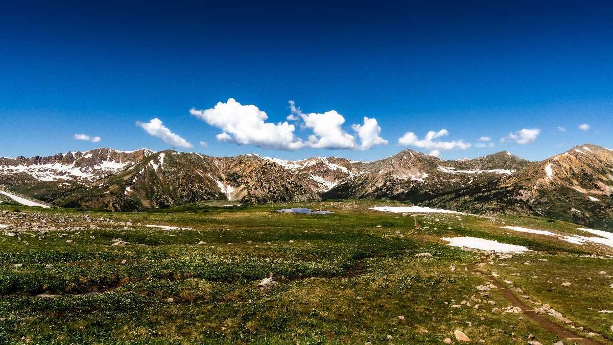 Visit Changthang Wildlife Sanctuary