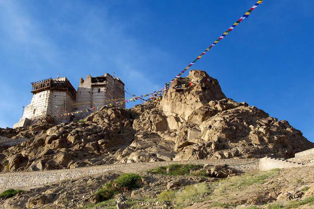Visit Namgyal Tsemo Monastery