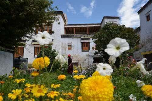 Visit Sankar Gompa