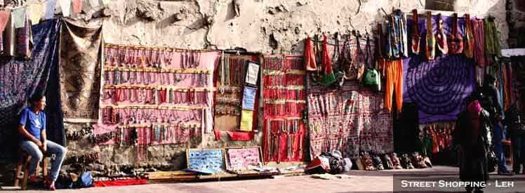 Visit Shopping in Ladakh