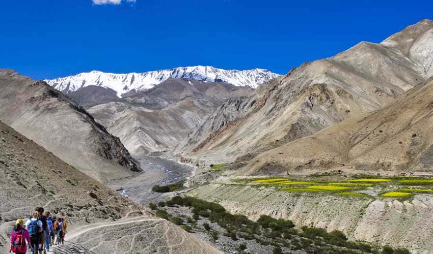 Visit Trekking in Ladakh