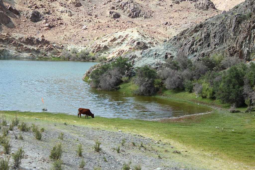 Visit Yarab Tso Lake