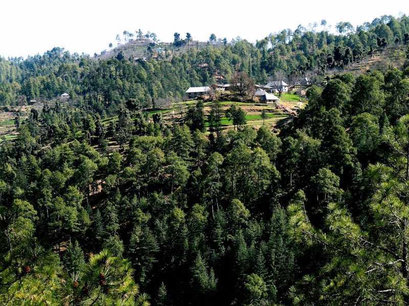 Visit Chindi