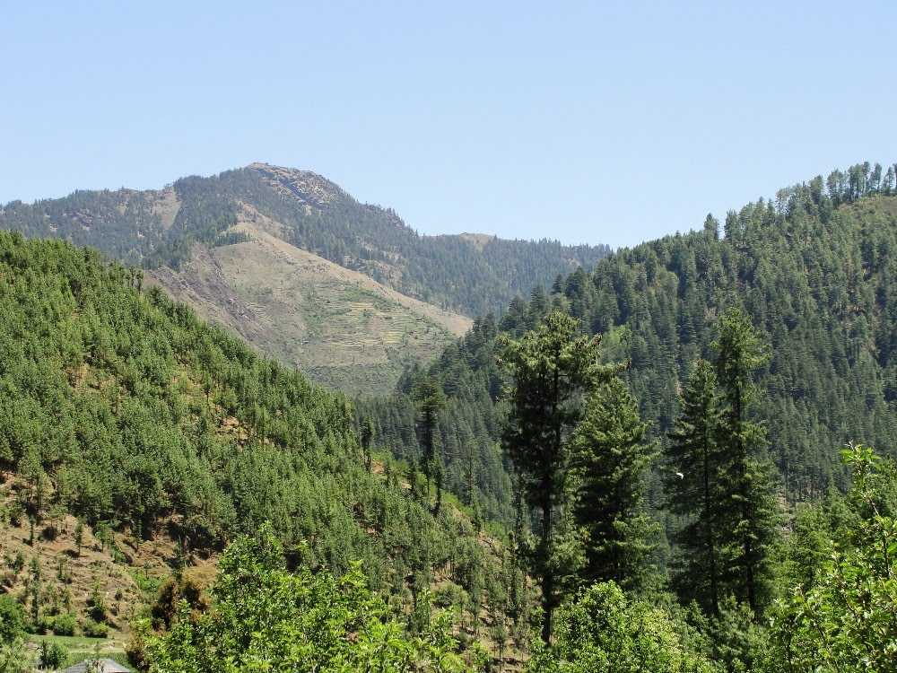 Visit Janjehli