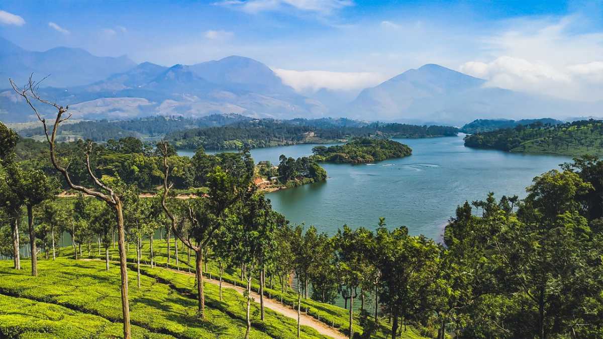 Visit Anayirankal Dam