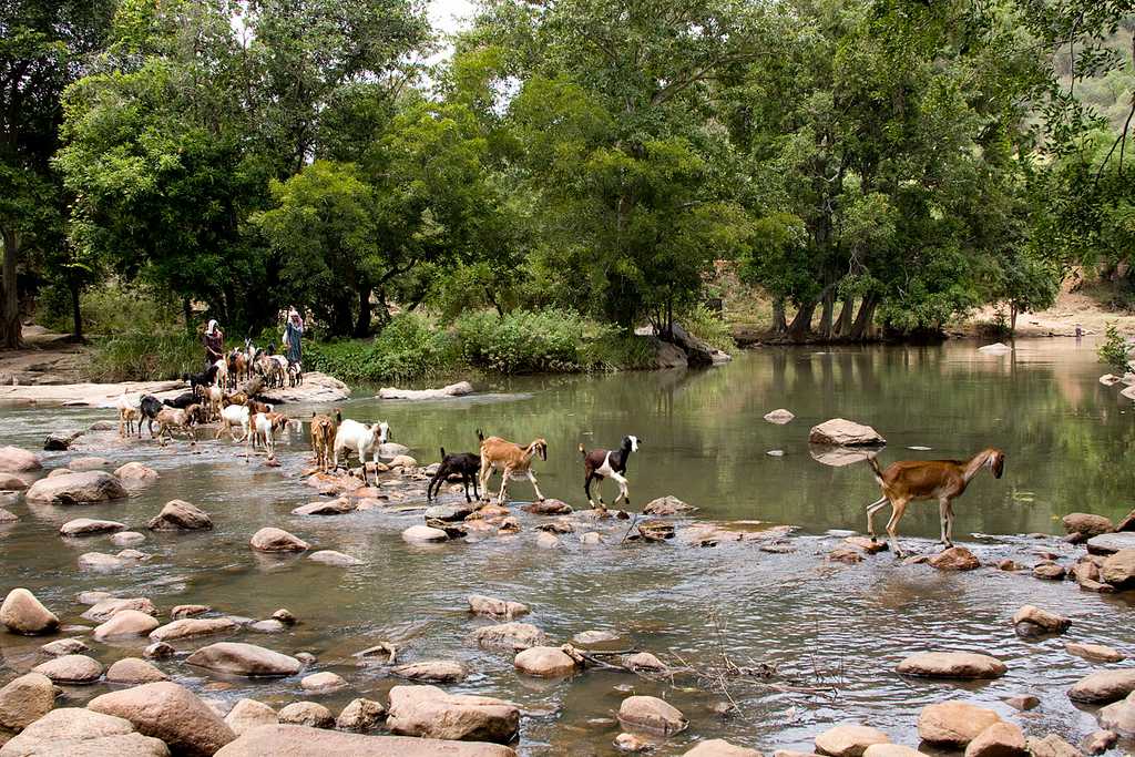 Visit Chinnar Wildlife Sanctuary