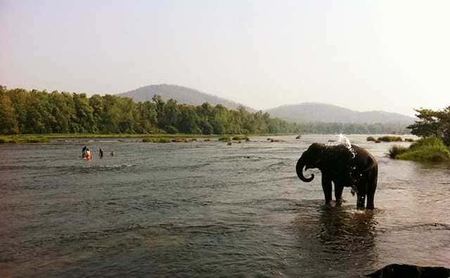 Visit Elephant Arrival Spot