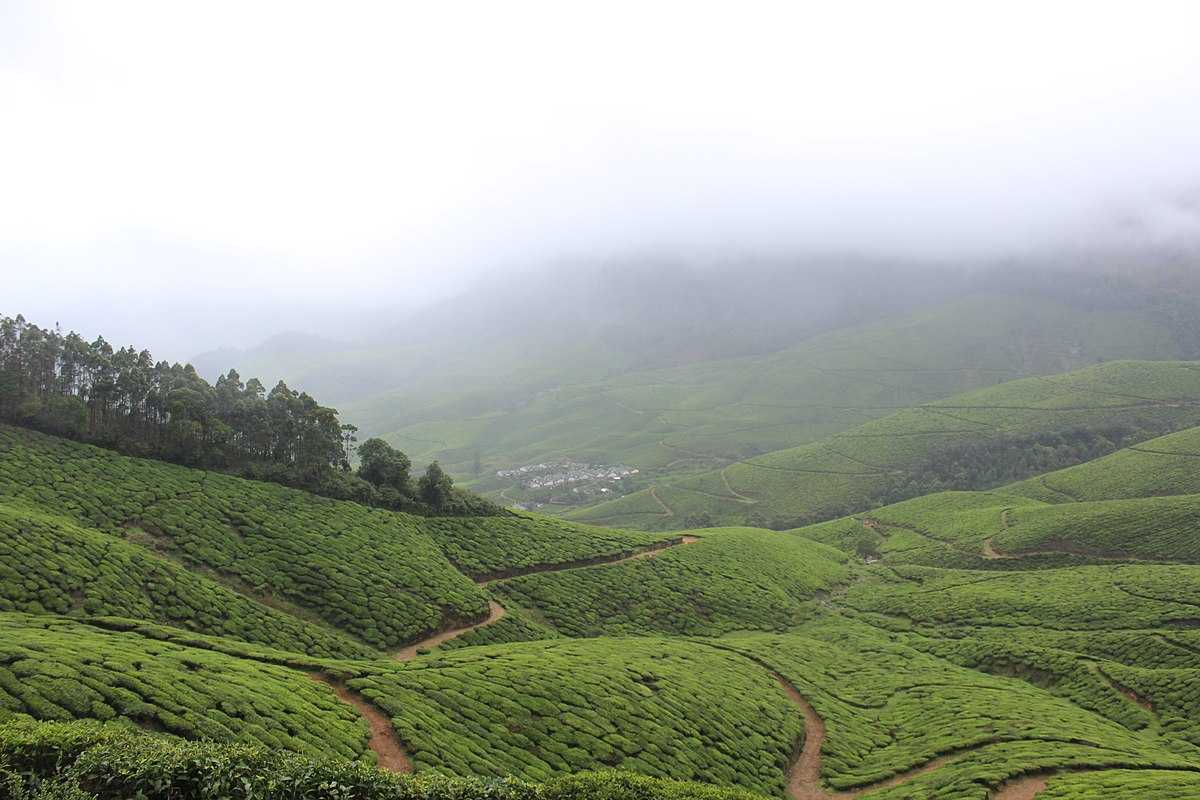 Visit Kolukkumalai Tea Estate