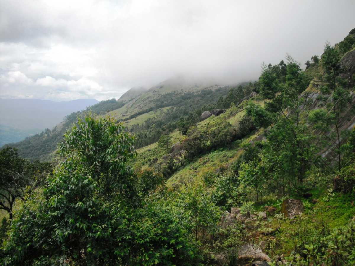 Visit Lockhart Gap View