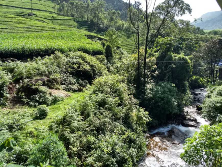 Visit Nyayamakad Waterfalls