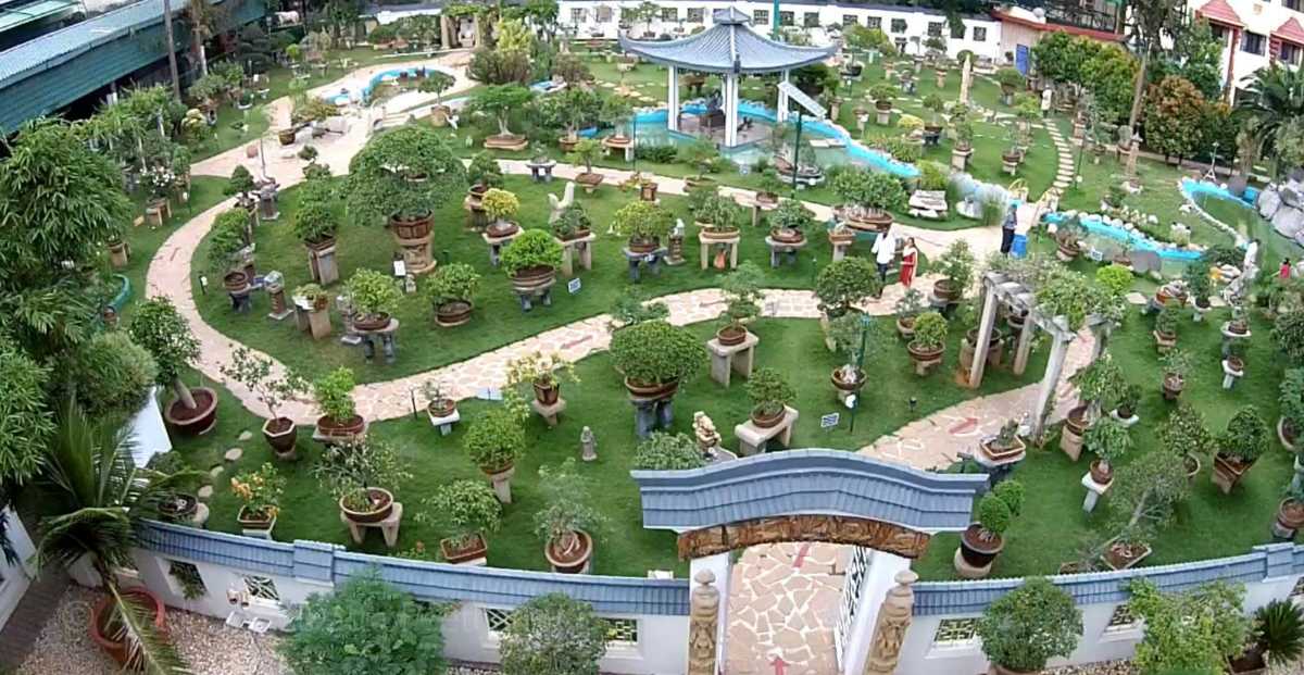 Visit Bonsai Garden