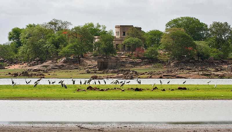 Nizamabad best Package Trip