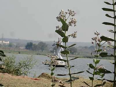 Visit Ashoksagar