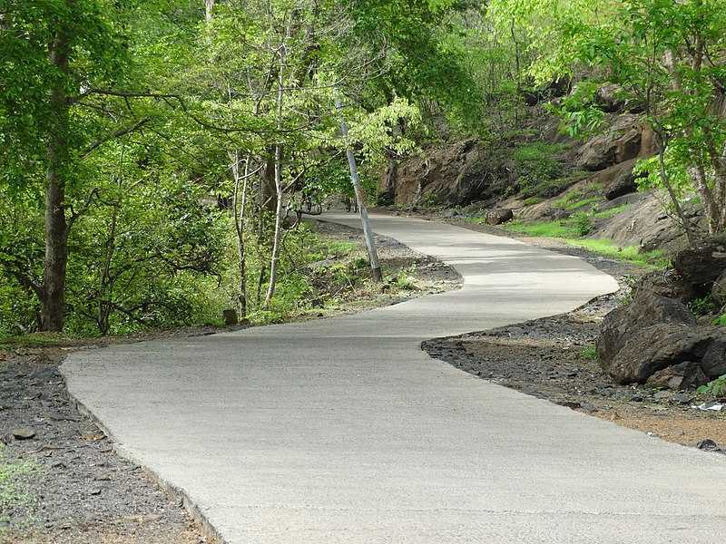 Visit Sanjay Gandhi Botanical Garden