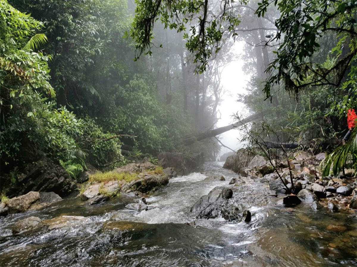 Visit Agumbe
