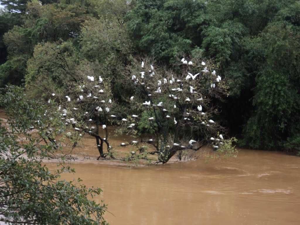Visit Mandagadde Bird Sanctuary