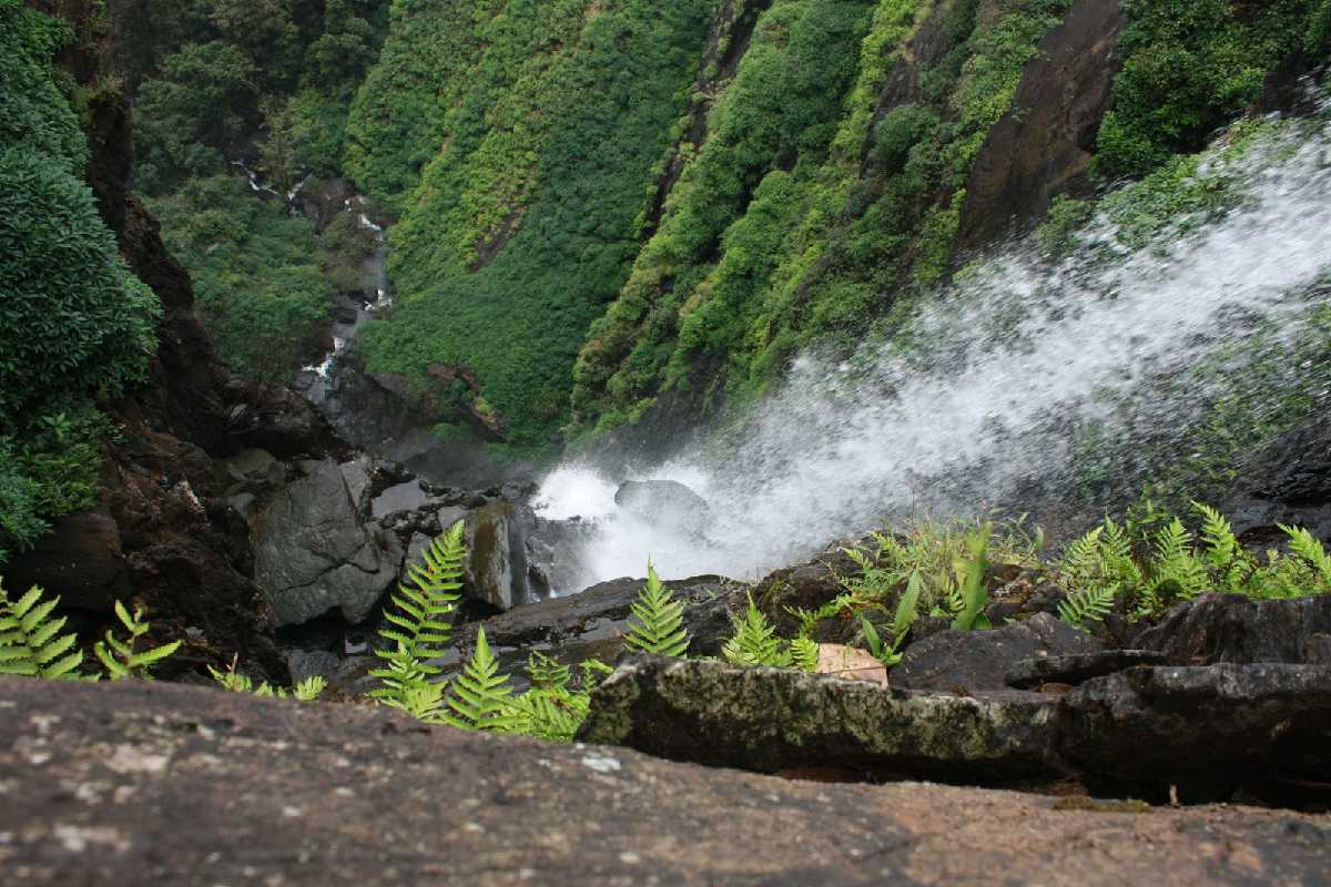 Visit Onake Abbi Falls