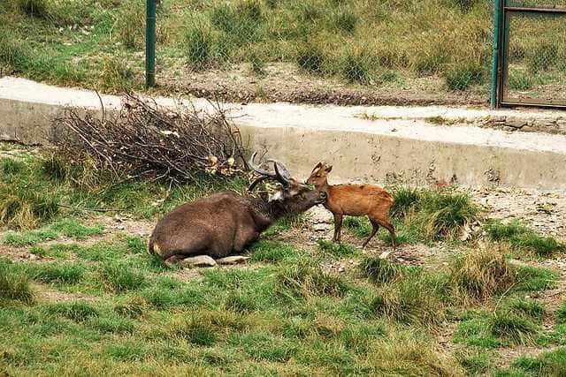 Visit Majathal Sanctuary
