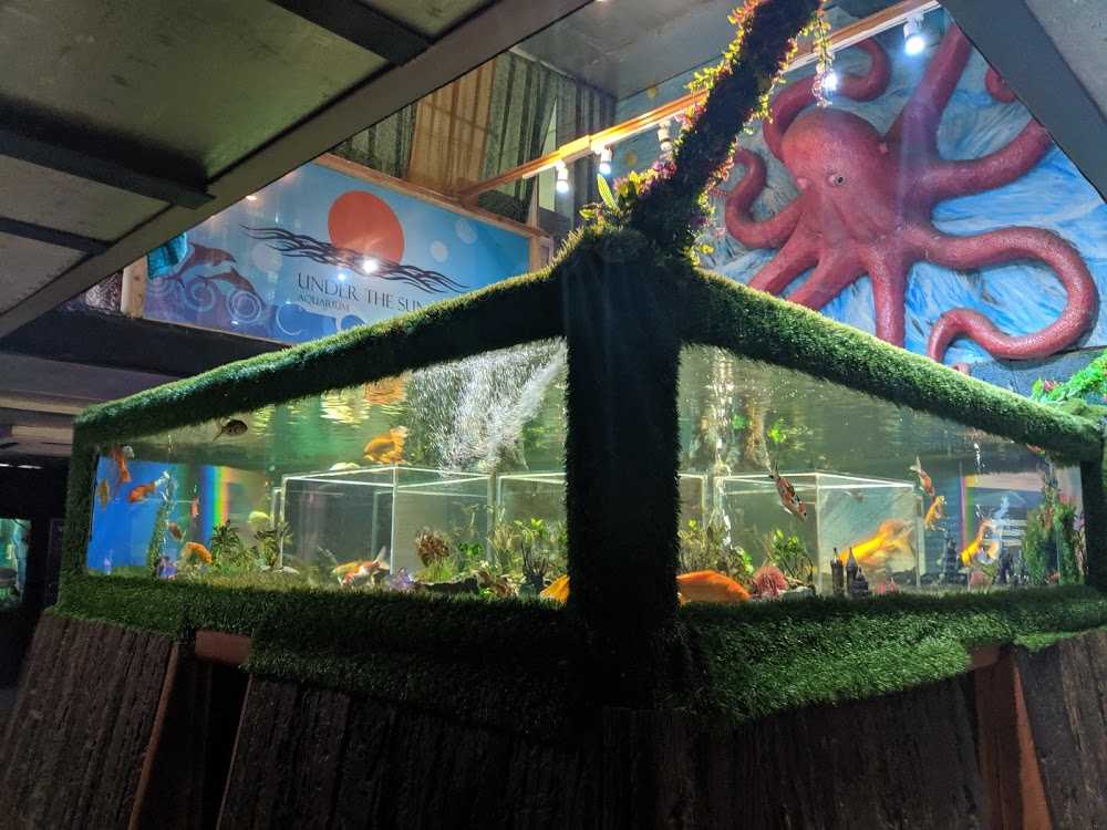 Visit Under The Sun Aquarium