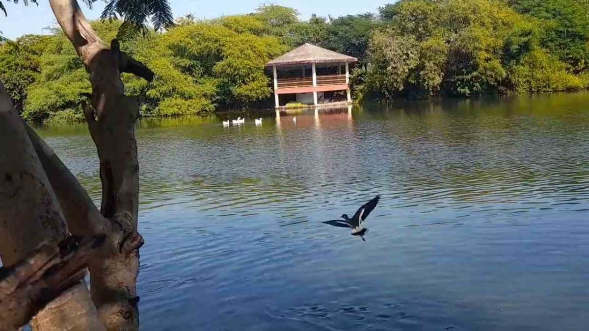 Visit Vishnu Sagar Taalab